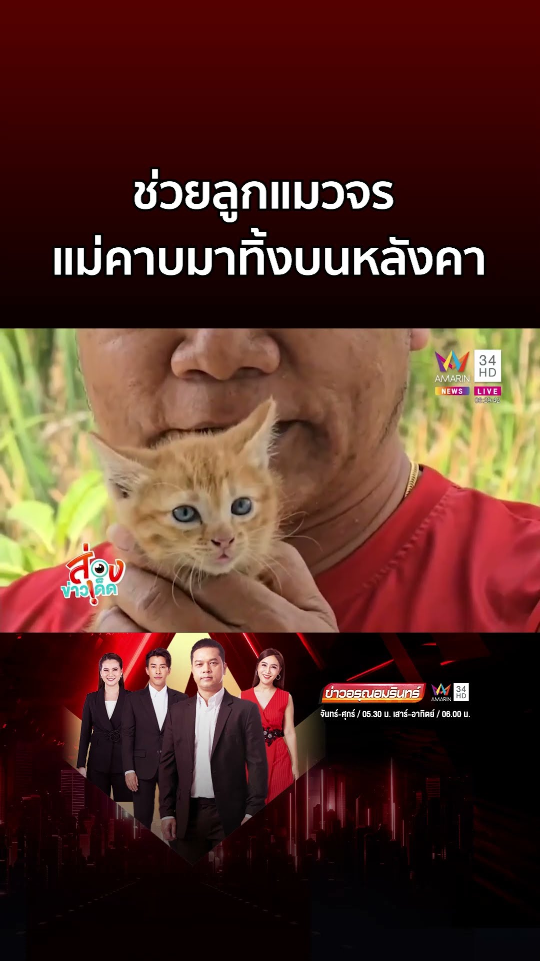 เจ้าของบ้านยอมตัดท่อ ช่วยลูกแมวจร แม่คาบมาปล่อยทิ้งไว้บนหลังคา | ข่าวอรุณอมรินทร์