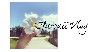 Travel Vlog | Hawaii - Oahu 夏威夷游记（下）欧胡岛