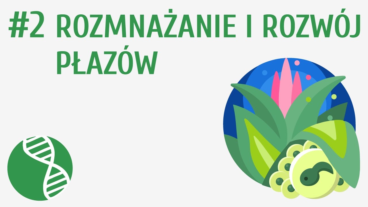 Rozmnażanie i rozwój płazów #2 [ Płazy ] - YouTube