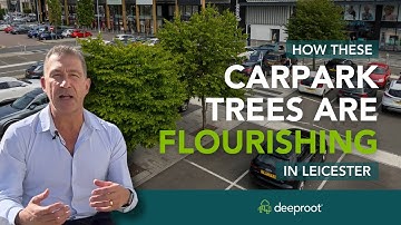 The Power of Silva Cells in Growing Large Carpark Trees