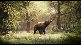 FMX 2019 Effects Trailer – Wonderful World