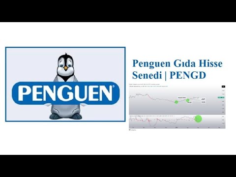 PENGUEN HİSSE ANALİZ BORSA İSTANBUL