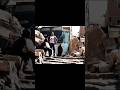 صباح العذاب ألوان كوميديا ساخره من فيلم الألماني لمحمد رمضان صباح العذاب ألوان كوميديا ساخره من فيلم الألماني لمحمد رمضان