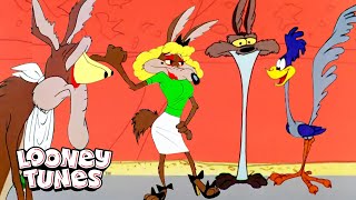 20 Minuten, in denen Wile E. Coyote ein heißes Durcheinander ist | Looney Tunes | @GenWBDeutschland