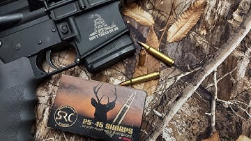 The .25-45 Sharps. Oh, what could have been. Perhaps it still can be.