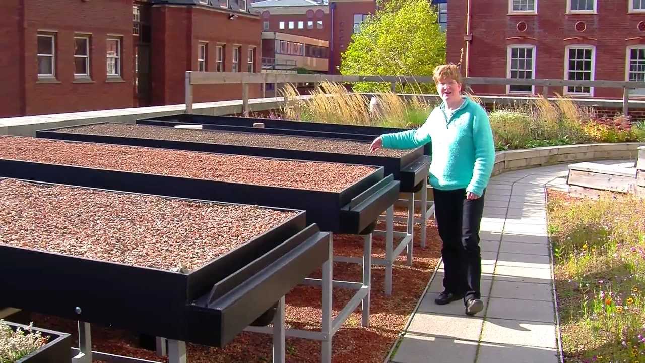 Green Roofs