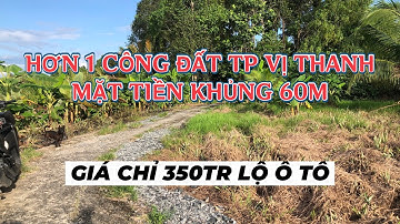 BỂ NỢ BÁN GẤP 1 CÔNG ĐẤT GIÁ RẺ BÈO 350 TRIỆU LỘ Ô TÔ #ducanhbds #nhadathaugiang #nhadatgiare