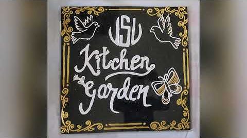 Vikrama Simhapuri University National Service Scheme-Kitchen Garden