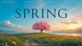 Soft Spring Classical Music for Stillness | Chopin, Mozart, Beethoven, Bach | Heal and Relax screenshot 5