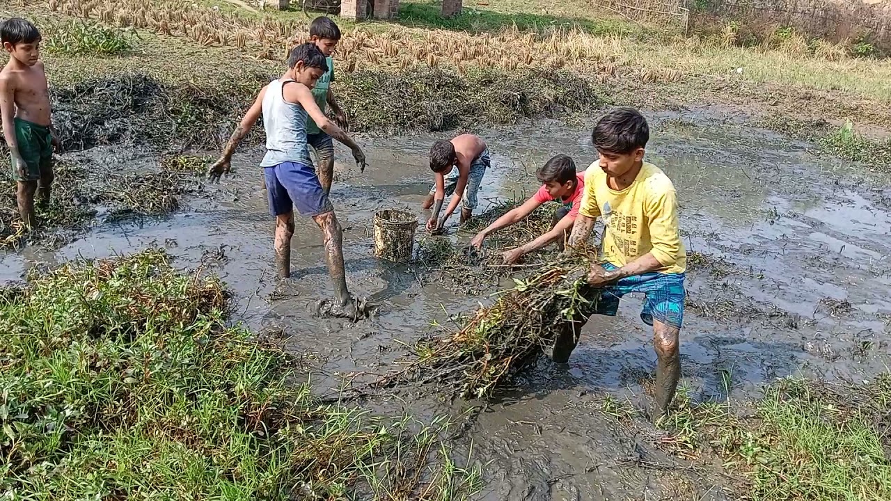 Fishing video fish2022