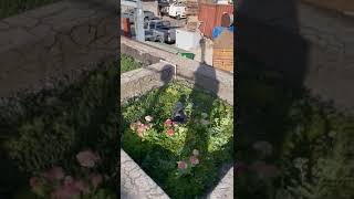 LIVE, Campus San Joaquín PUC, Santiago