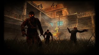 Black Ops Zombies: Verruckt Asylum