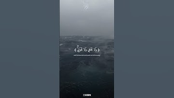 وَأَوْحَيْنَا إِلَى أُمَّ مُوسَى، سورة القصص بصوت القارئ ياسر الدوسري