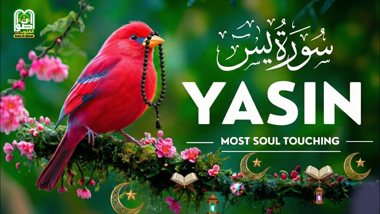 Surah Yaseen  (Full) | Soul-Soothing and Powerful Quran Recitation - سورة یس