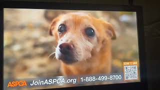 ASPCA TV commercial