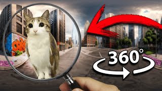 FIND Meowl | Finding Challenge 360º VR Video