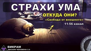 Как страхи управляют Вашим настроением?  - ч. Викрам