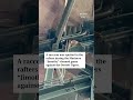 Raccoon spotted at Mariners' 'Jimothy' night