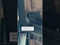 Raccoon spotted at Mariners' 'Jimothy' night