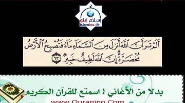 الشيخ مصطفى خميس سورة الحج-الم ترى ان الله انزل من السماء ماء