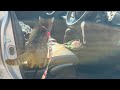 散歩の途中で