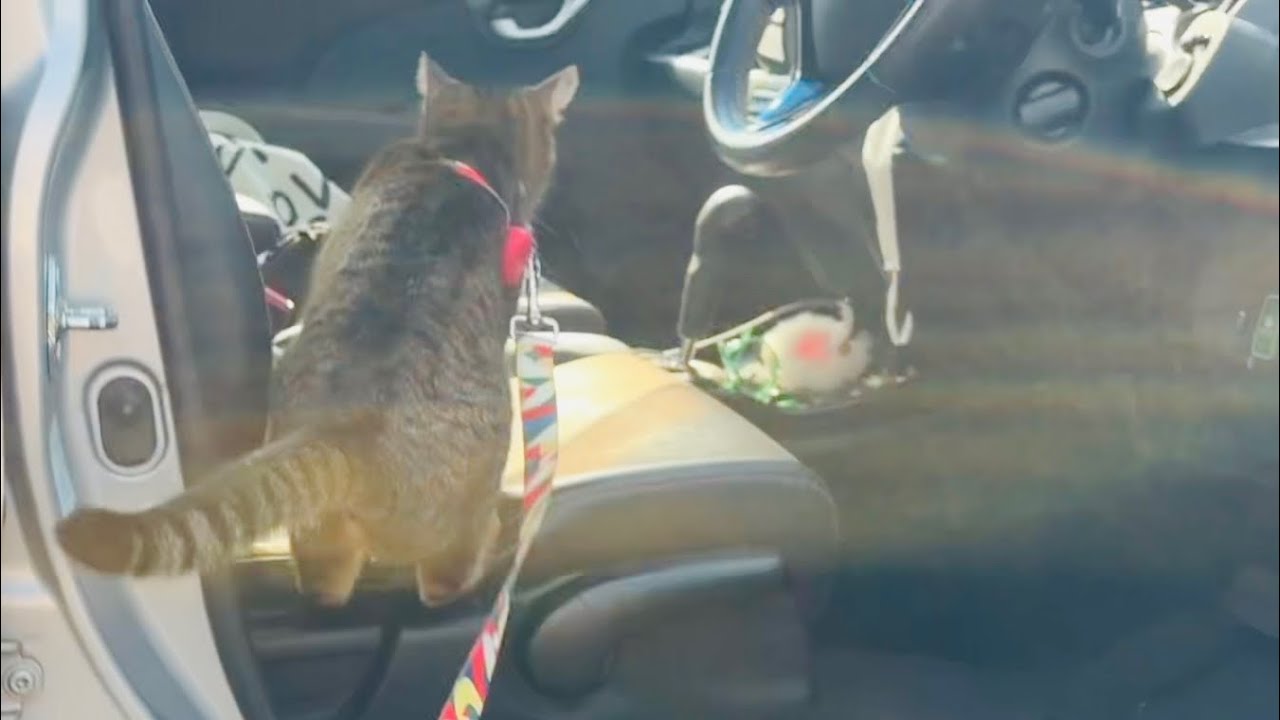 散歩の途中で