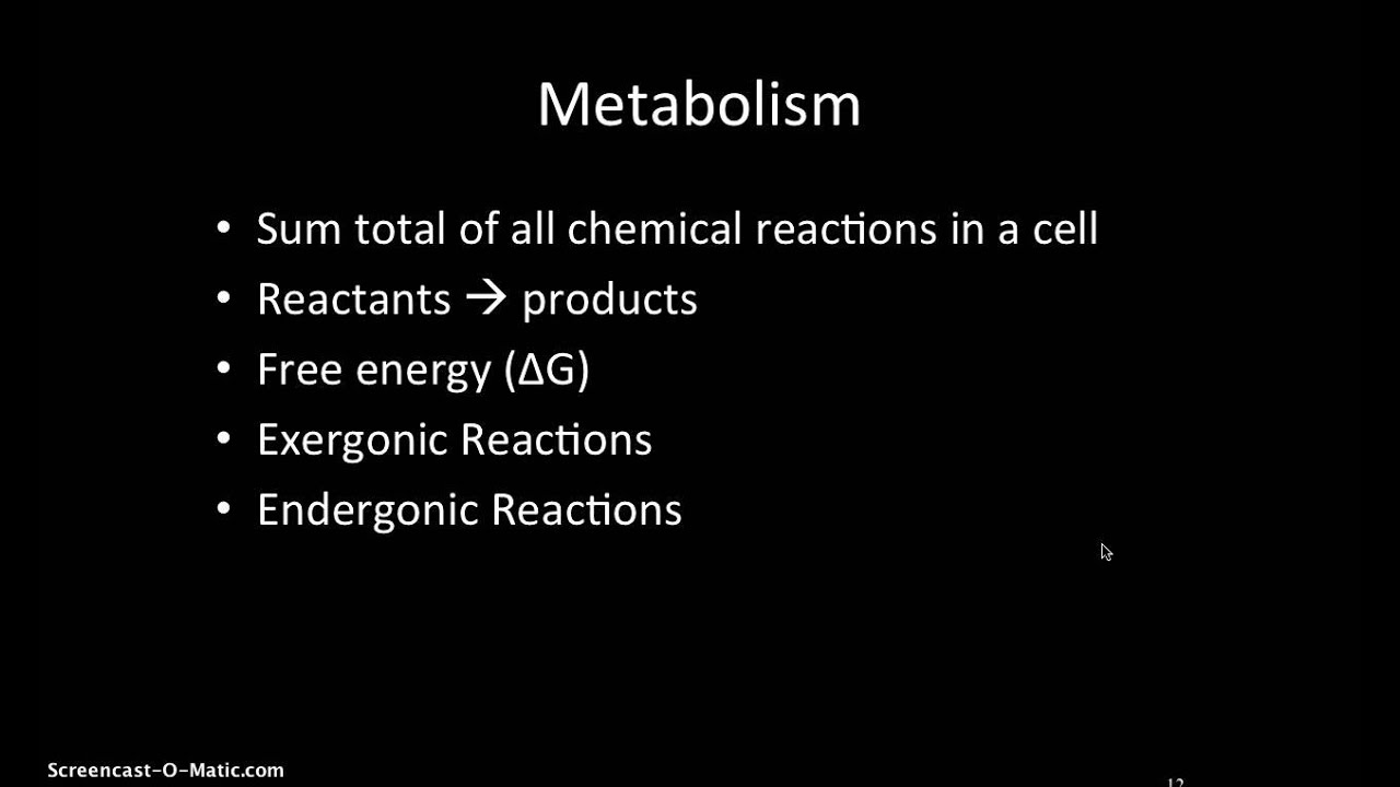 Chapter 6 Lecture Part 1 - YouTube