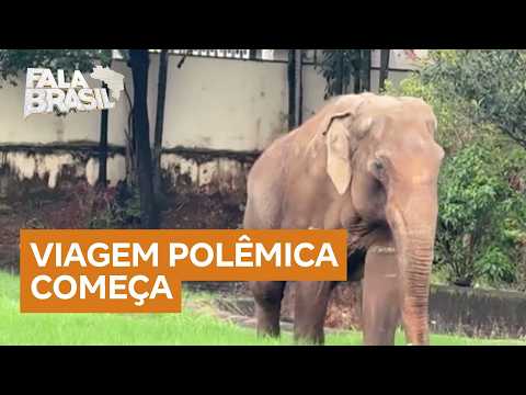 5429491 ERP 0916 FB SANDRO THE ELEPHANT