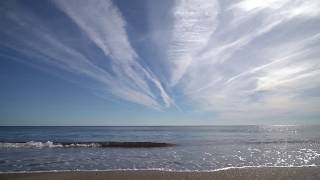 19 Sistemine Dair Mevcut Fikrim