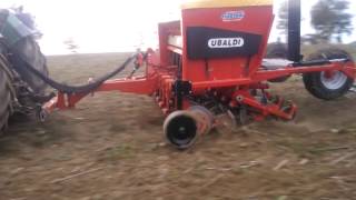 Unica Sodo Stortoni Ubaldi