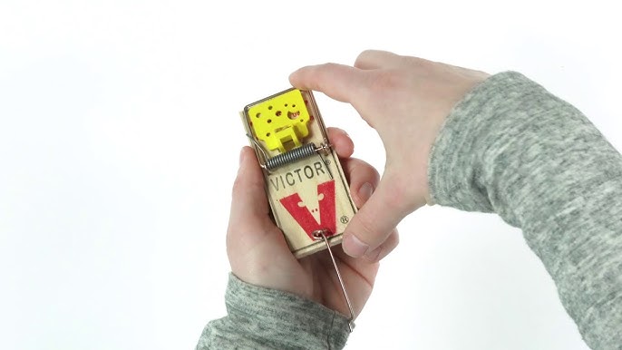 Electric Traps: Victor® Multi-Kill™ Electrical Mouse Trap