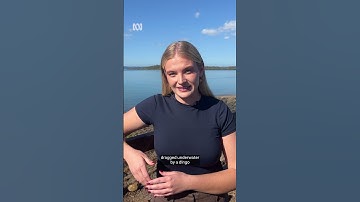 Tourists bitten in string of dingo attacks on K