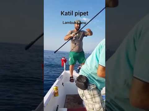 K. pipet antalyali mehmet özler