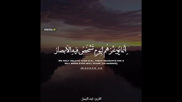 القارئ: نايف الفيصل