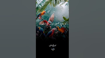 القران الكريم ما تيسر من سورة يوسف #القرآن_الكريم #اكسبلور #آيات #ايات_قرانيه_قصيره