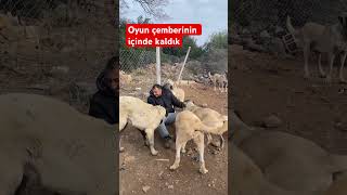 Oyun Çemberinin Içinde Kaldık