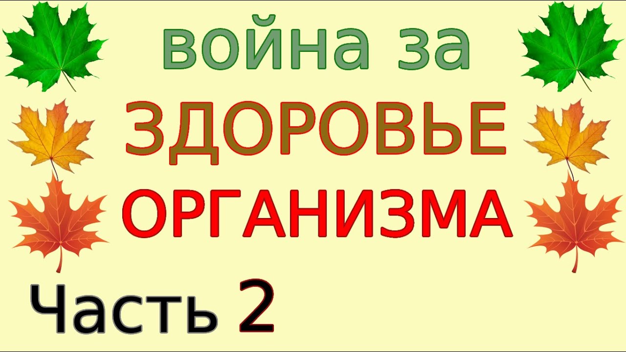 Грибки и бактерии на коже - парадоксальный признак здоровья человека ...