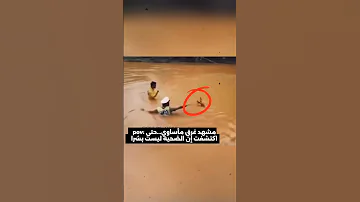 التمساح الممثل كيف تظاهر بالغرق ليصطاد فريسته اكسبلور Shorts 