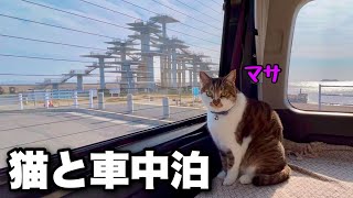 【猫と車中泊】梅雨の晴れ間に岬めぐり。東京湾に突き出た岬の展望台で猫と過ごして車中泊｜キャンピングカーのようにDIYしたハイエース