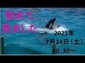 鴨川シーワールドシャチパフォーマンス【2021年7月24日10:30公演】