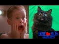 Home Alone with my Cat (Behind the Scenes)