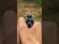 START AIMING CORRECTLY🔥 #aiming #pistol #handgun #aim #sight #reshoot