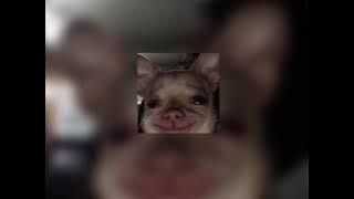 Ziva Magnolya - cukup (speed up)