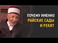 Уроки акыды 71: Почему Аллах назвал Рай “Садом”? | Шейх Рамадан аль-Буты