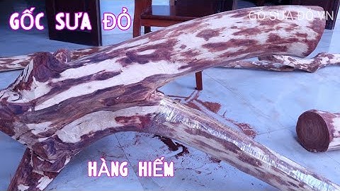 Gốc Gỗ Sưa Bắc Chất Đỏ Đen Tím Siêu To Rất Hiếm Đục Tượng Thì Quá Đỉnh