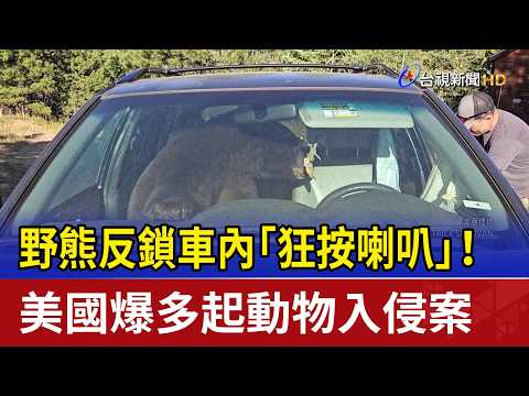 野熊反鎖車內「狂按喇叭」！ 美國爆多起動物入侵案