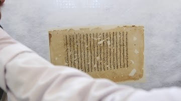 Leaf Casting Magic in Conservation