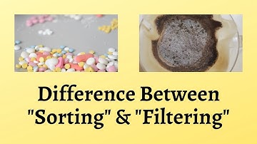 Difference Between Sorting and Filtering | Sorting and Filtering Made Simple, Sorted, and Satisfied!