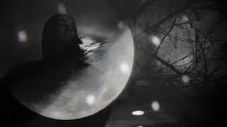 Dark Reflection (official music video)