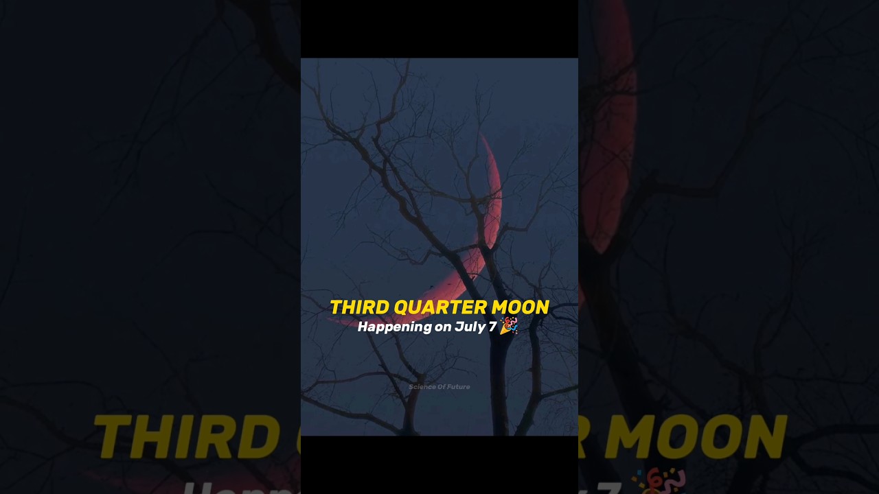 The Epic Third Quarter Moon Is Coming 🥳💀 #space #shorts #astronomy #earth #science